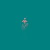testboston1