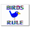 chickadee33