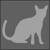 Shadowspaz