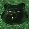 loudcat