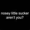 Nosie Nellie