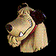 Soxdog67