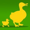 Lostgrouse