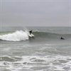 SurfinSoxFan
