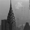 nyc521