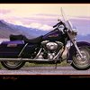 roadking