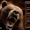 StanleyCuptotheBruinsin2011