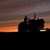 TractorGirl