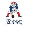 pats-fan-2007