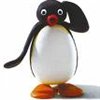 MrPingu