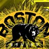 UtahBruin