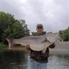 bassmasters