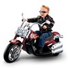 harleyroadking11