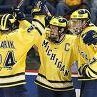 michigan-wolverine