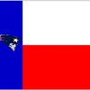 PATSFANnTX