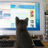 RainyDayInterns
