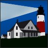 flag-waiver